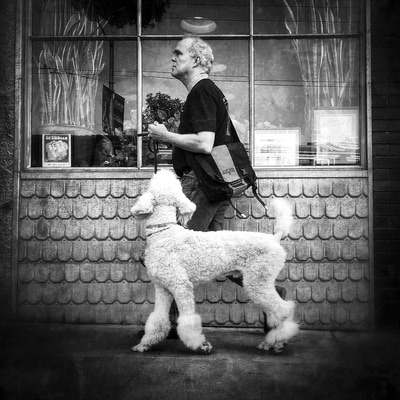 Street Photography, Honorable Mention, Mobile Photo Awards, Black and white, John Nieto, Mobile photography, Bay 
Area photography, pets, poodles, Haight Street, 