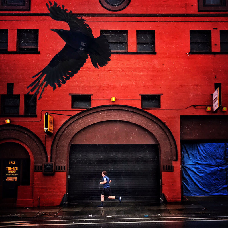 Jogger, San Francisco, street photography, crow, john nieto, mobile photography, color photography, Bay Area photography